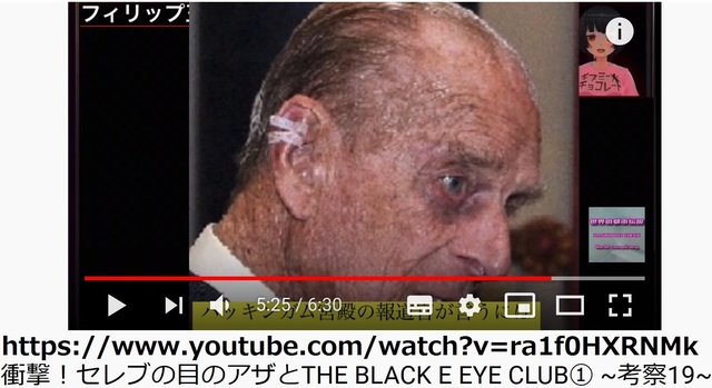 Pedoferia_of_world_famous_22.jpg