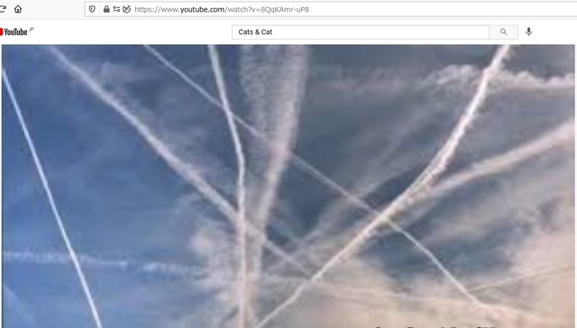 Pentagon_confirms_Corona_virus_got_into_Chemtrail_and_exist_Japanchemtrail_co_in_Japan_5.jpg